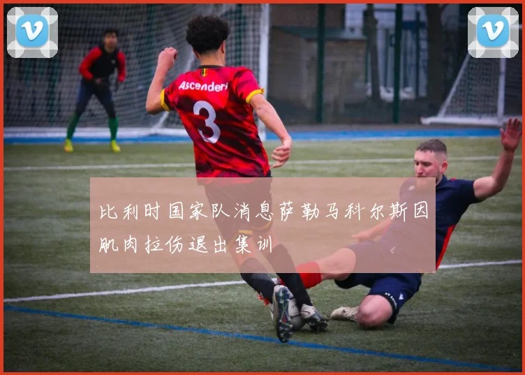 比利时国家队消息萨勒马科尔斯因肌肉拉伤退出集训