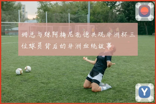 姆总与琼阿梅尼孔德共观非洲杯三位球员背后的非洲血统故事