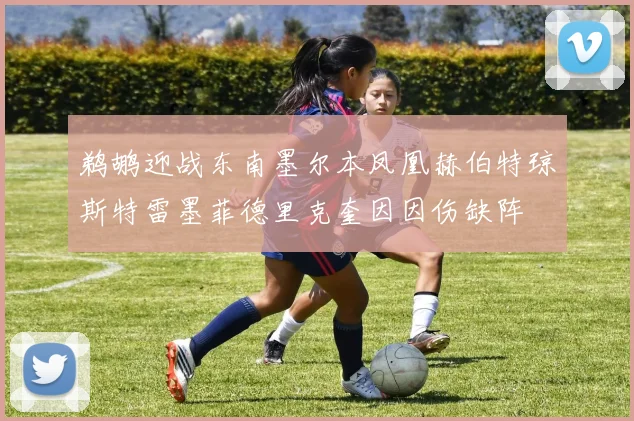 鹈鹕迎战东南墨尔本凤凰赫伯特琼斯特雷墨菲德里克奎因因伤缺阵