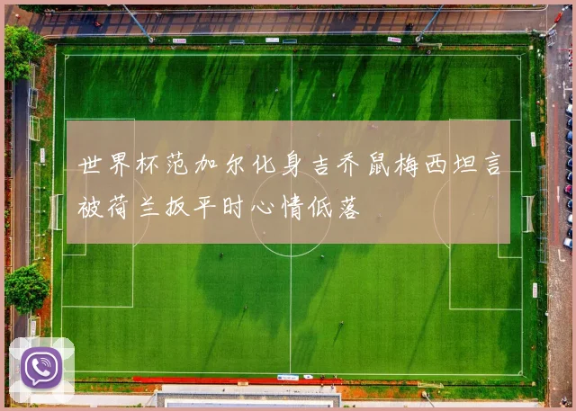 世界杯范加尔化身吉乔鼠梅西坦言被荷兰扳平时心情低落